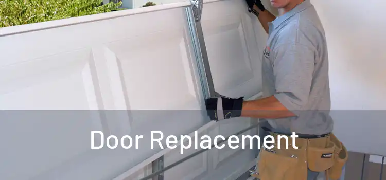  Door Replacement 