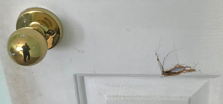 interior door hole repair Campbell