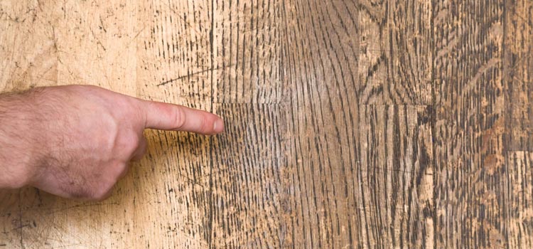 Wood Door Scratch Repair in Campbell